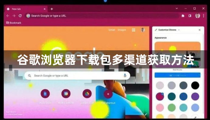 谷歌浏览器下载包多渠道获取方法1