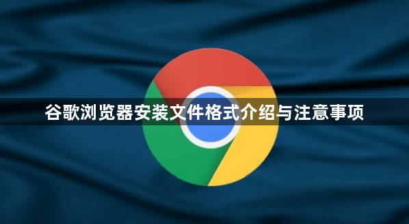 谷歌浏览器安装文件格式介绍与注意事项1