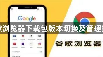 谷歌浏览器下载包版本切换及管理技巧1