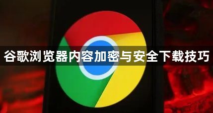 谷歌浏览器内容加密与安全下载技巧1