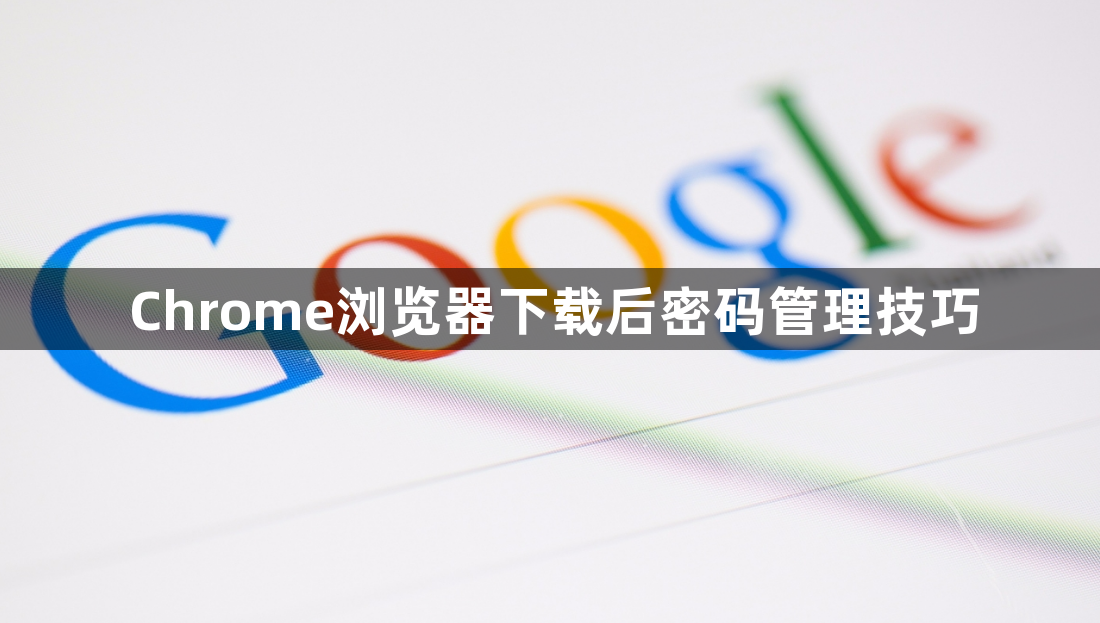 Chrome浏览器下载后密码管理技巧1