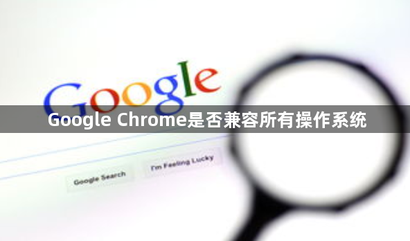 Google Chrome是否兼容所有操作系统1