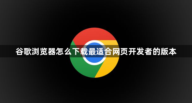 谷歌浏览器怎么下载最适合网页开发者的版本1