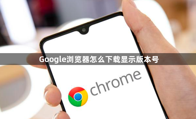 Google浏览器怎么下载显示版本号1