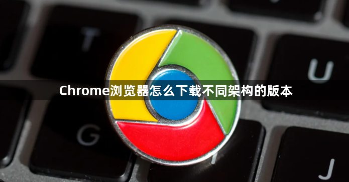 Chrome浏览器怎么下载不同架构的版本1