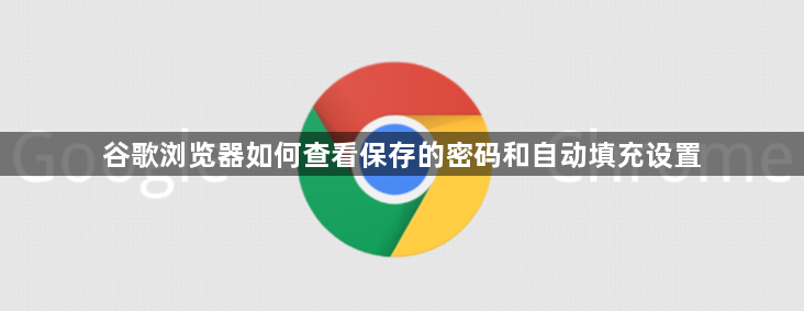 谷歌浏览器如何查看保存的密码和自动填充设置1
