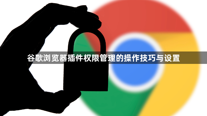 谷歌浏览器插件权限管理的操作技巧与设置1