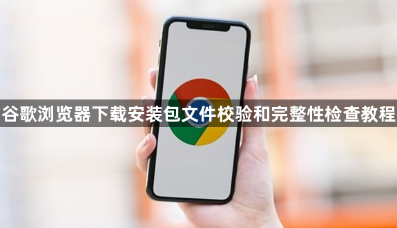 谷歌浏览器下载安装包文件校验和完整性检查教程1