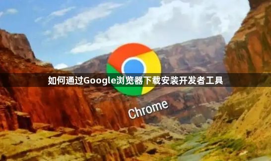 如何通过Google浏览器下载安装开发者工具1