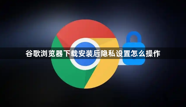 谷歌浏览器下载安装后隐私设置怎么操作1