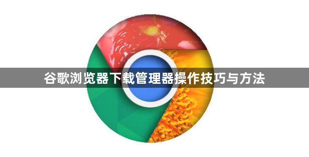 谷歌浏览器下载管理器操作技巧与方法1