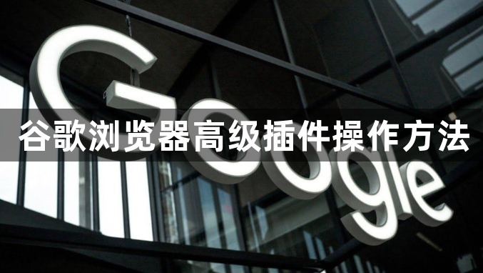 谷歌浏览器高级插件操作方法1