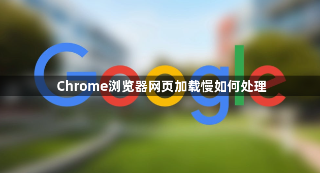 Chrome浏览器网页加载慢如何处理1