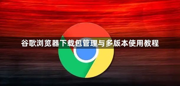 谷歌浏览器下载包管理与多版本使用教程1